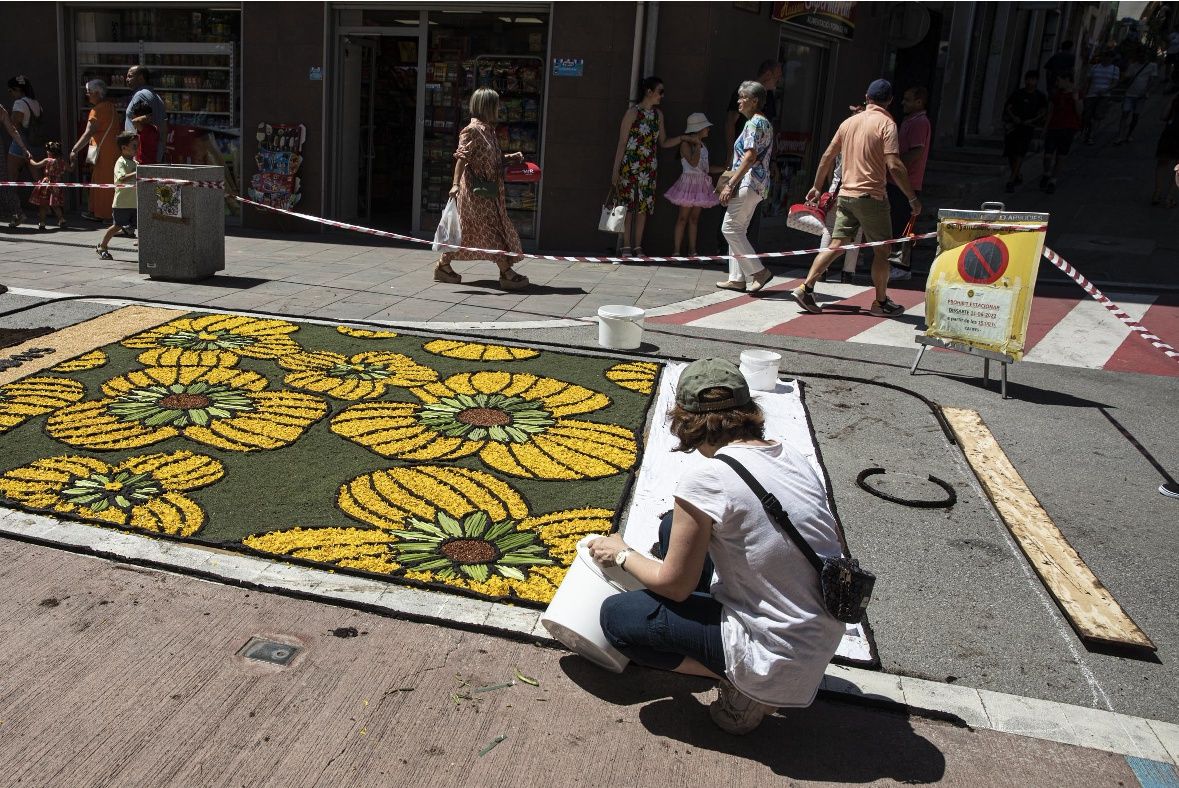 Catifes de flors d'Arbúcies