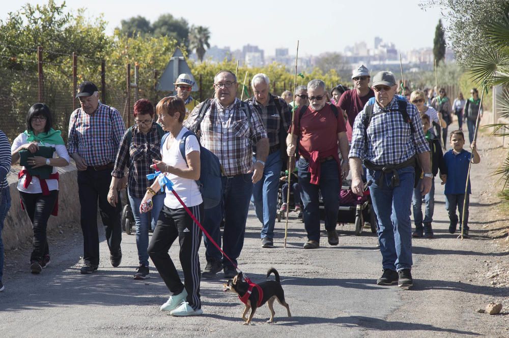 Magdalena 2019: Romeria de les canyes