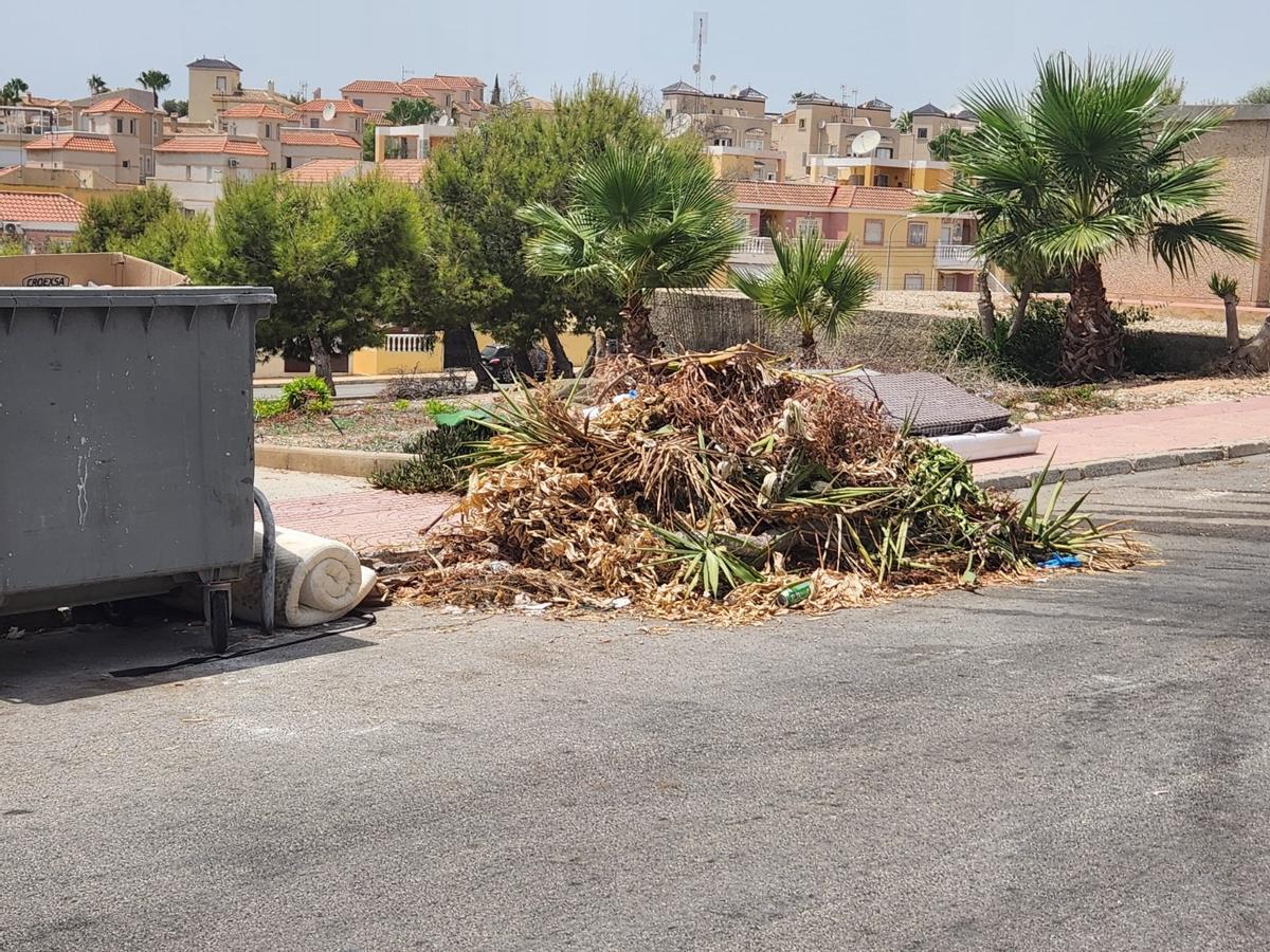 Así están los contenedores de basura de San Miguel de Salinas: hasta arriba de podas y enseres sin que Actúa los retire