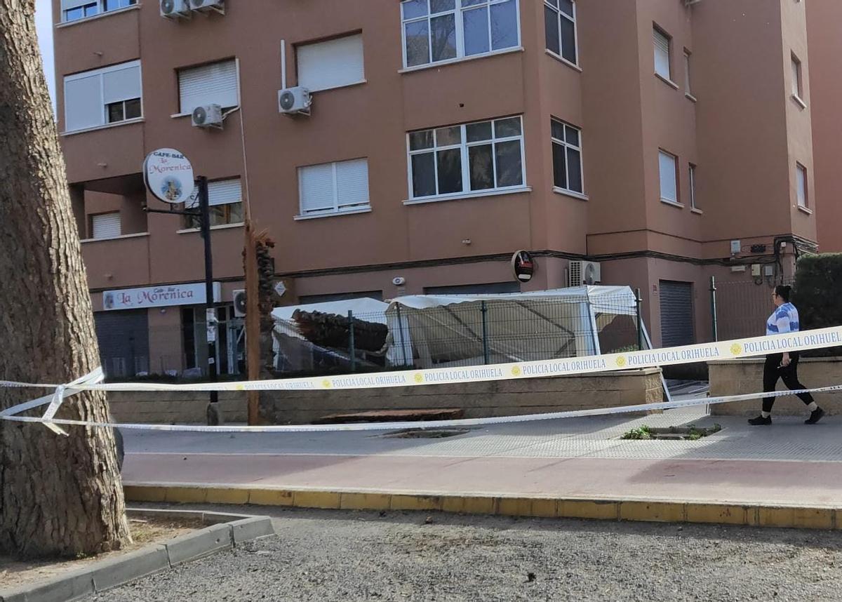 El fuerte viento derriba una palmera sobre la terraza de un bar de Orihuela.