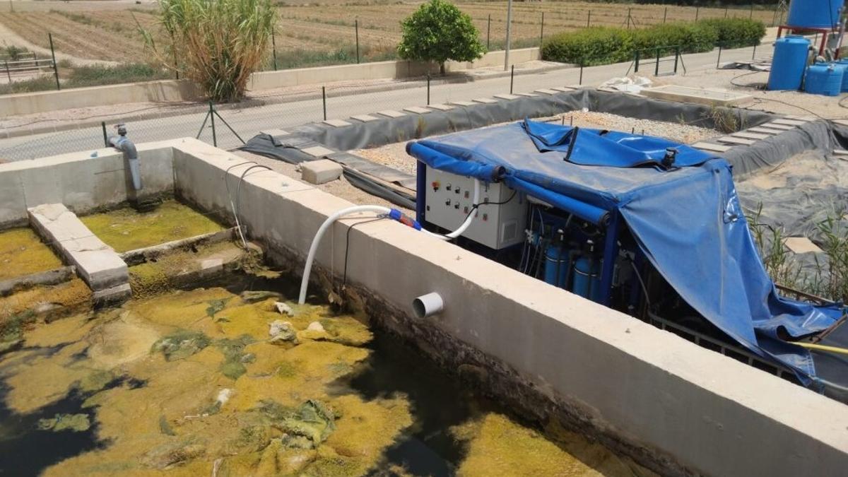 Prueba piloto para probar la tecnología de desnitrificación de la empresa Ingeobras en el Mar Menor.