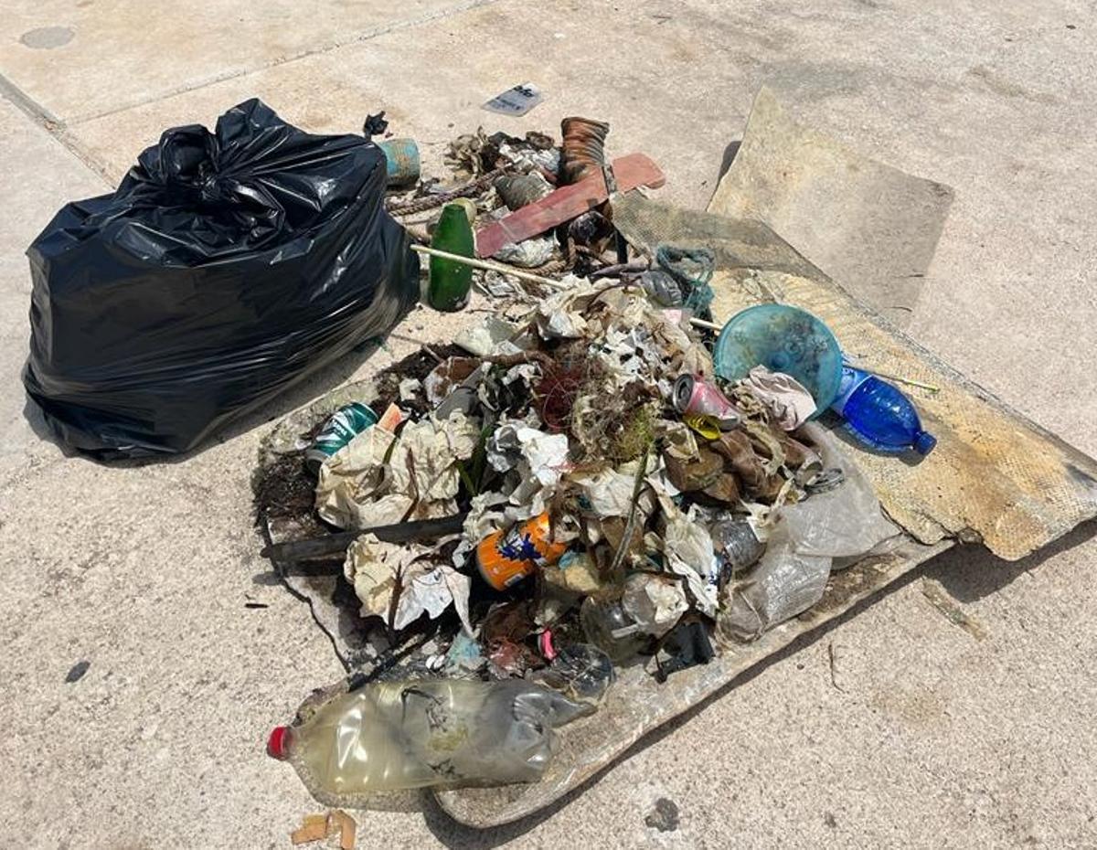 Basura retirada del mar