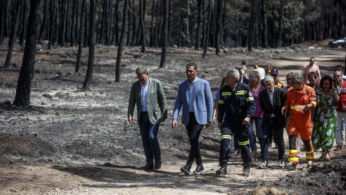 Ximo Puig y Pedro Sánchez en la zona afectada por el incendio de Bejís
