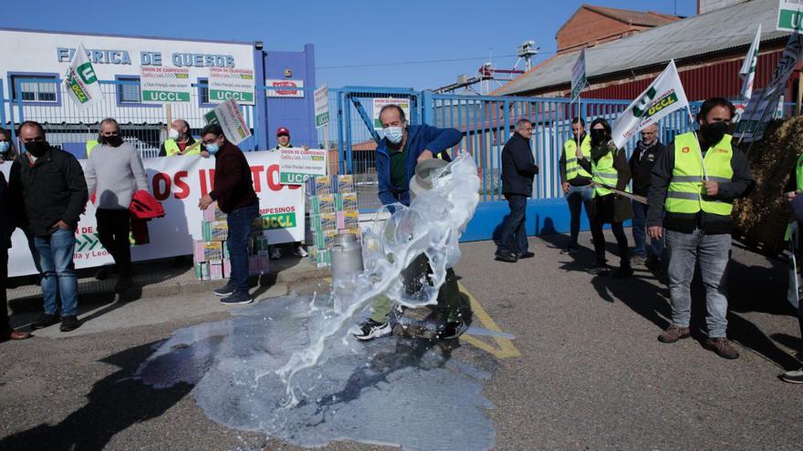 Los contratos de la leche mantendrán los precios para febrero y marzo