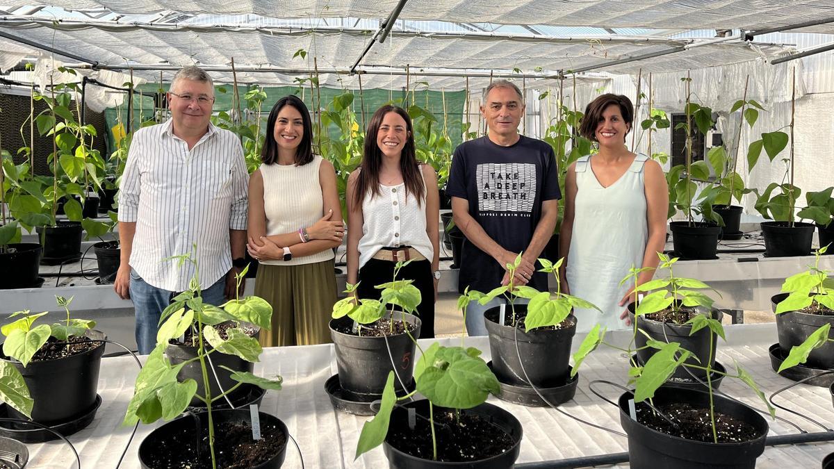 Juan José Ferreira, Ana Campa, María Jurado, Roberto Rodríguez y Carmen García, investigadores del grupo de Genética Vegetal del Serida.
