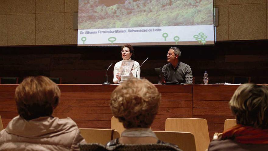 El Etnográfico descubre el castaño en Castilla y León