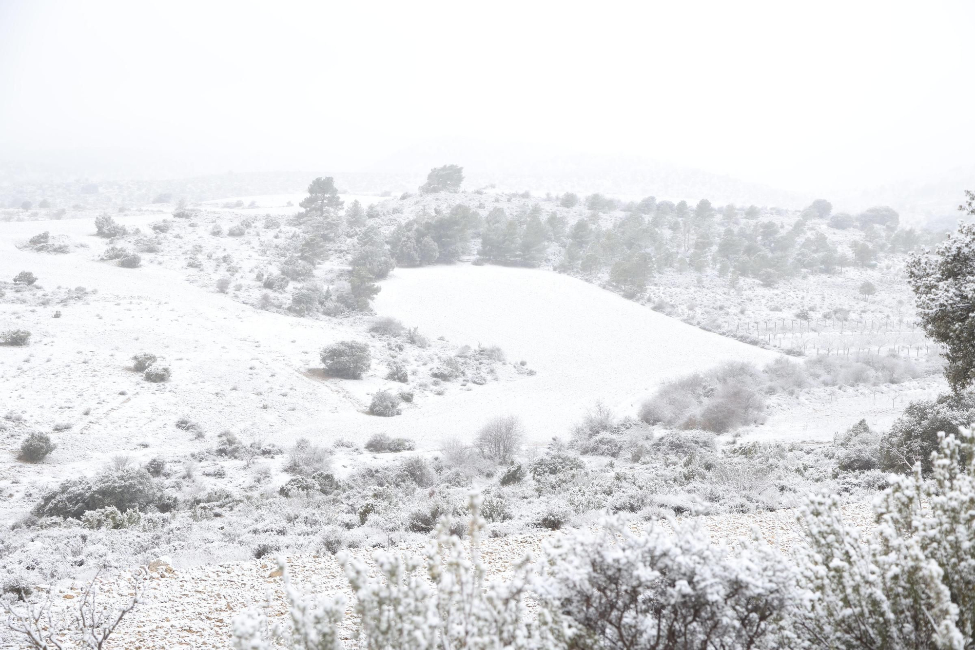 La espectacular nevada que ha teñido de blanco todo Inazares, en imágenes
