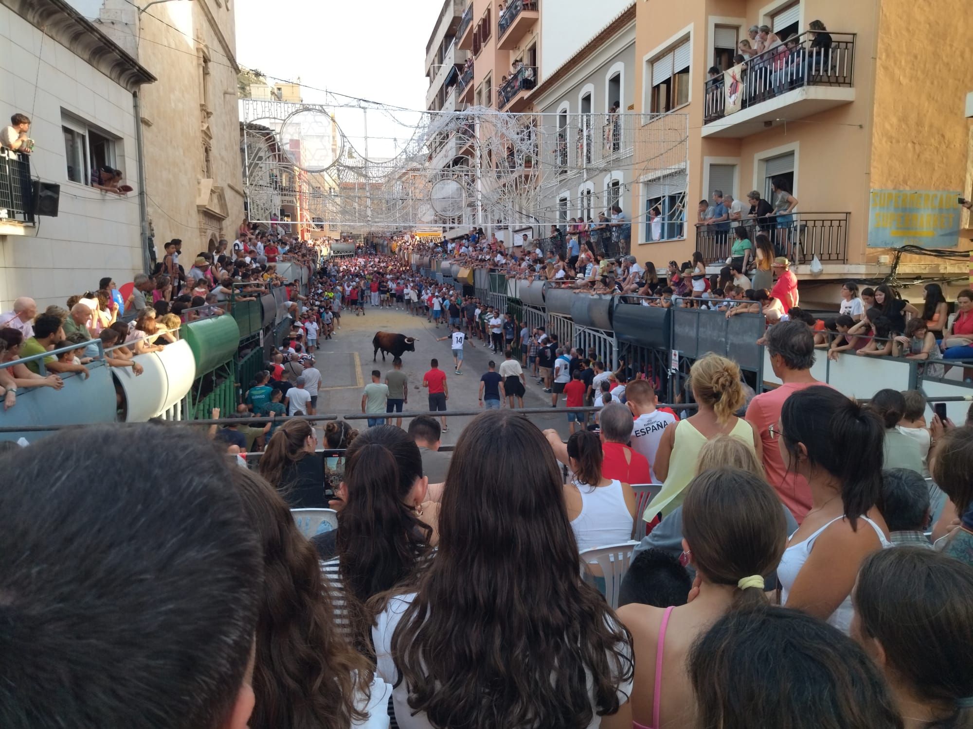 Pasión por los "bous al carrer" en Pedreguer