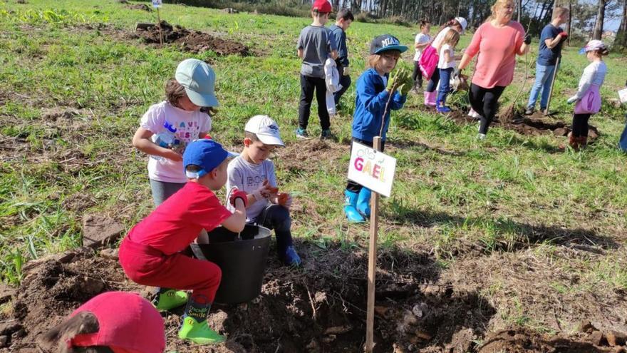 Comuneros de San Miguel y el CEIP Viñagrande cuidan de la naturaleza