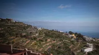 Lomo de Mena en Güímar: el pulso de la serenidad