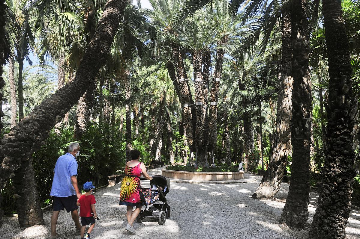 Huerto del Cura en Elche.