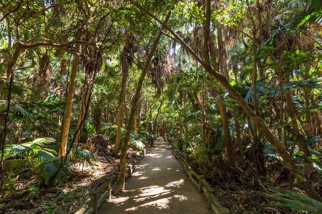 Parque del Santuario de Aoshima, Miyazaki, Japón