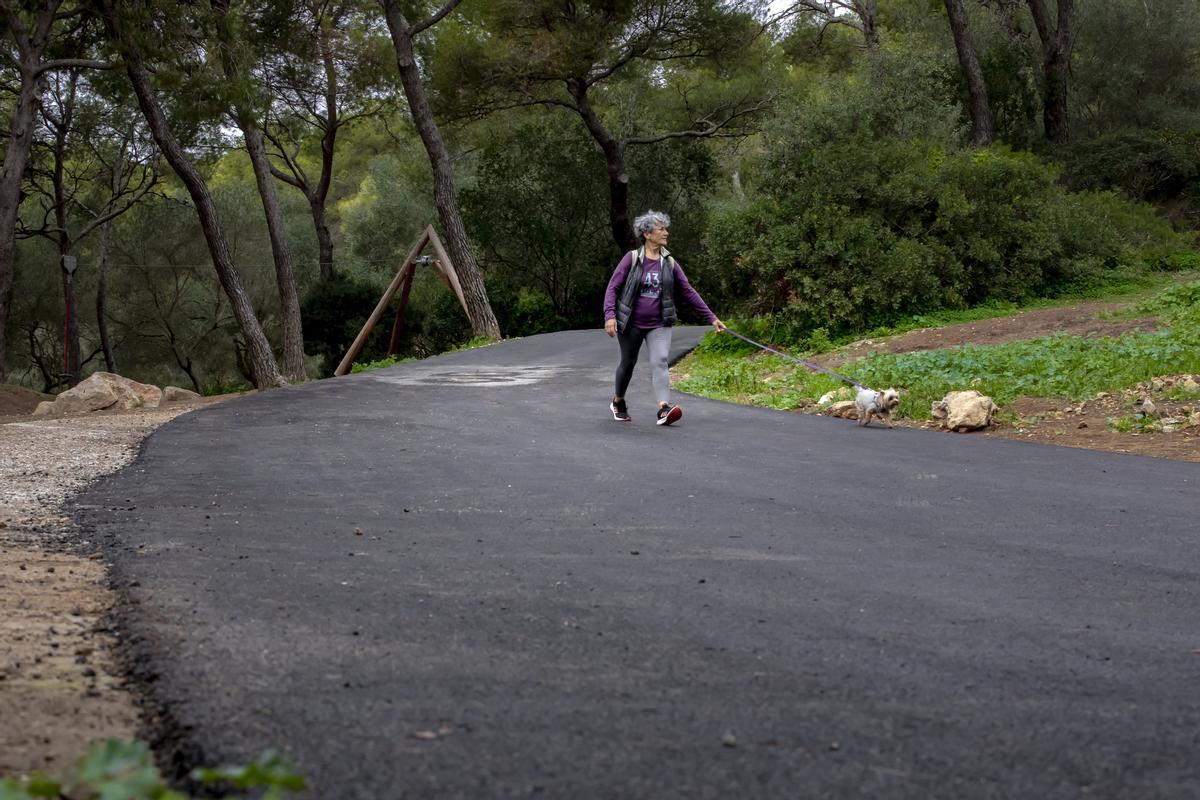 Las fotos del asfaltado del bosque de Bellver que indigna a ciudadanos y ecologistas Las fotos del asfaltado del bosque de Bellver que indigna a ciudadanos y ecologistas