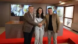 Andrés Llorens dirigirá la comisión para el centenario de las Hogueras de Alicante