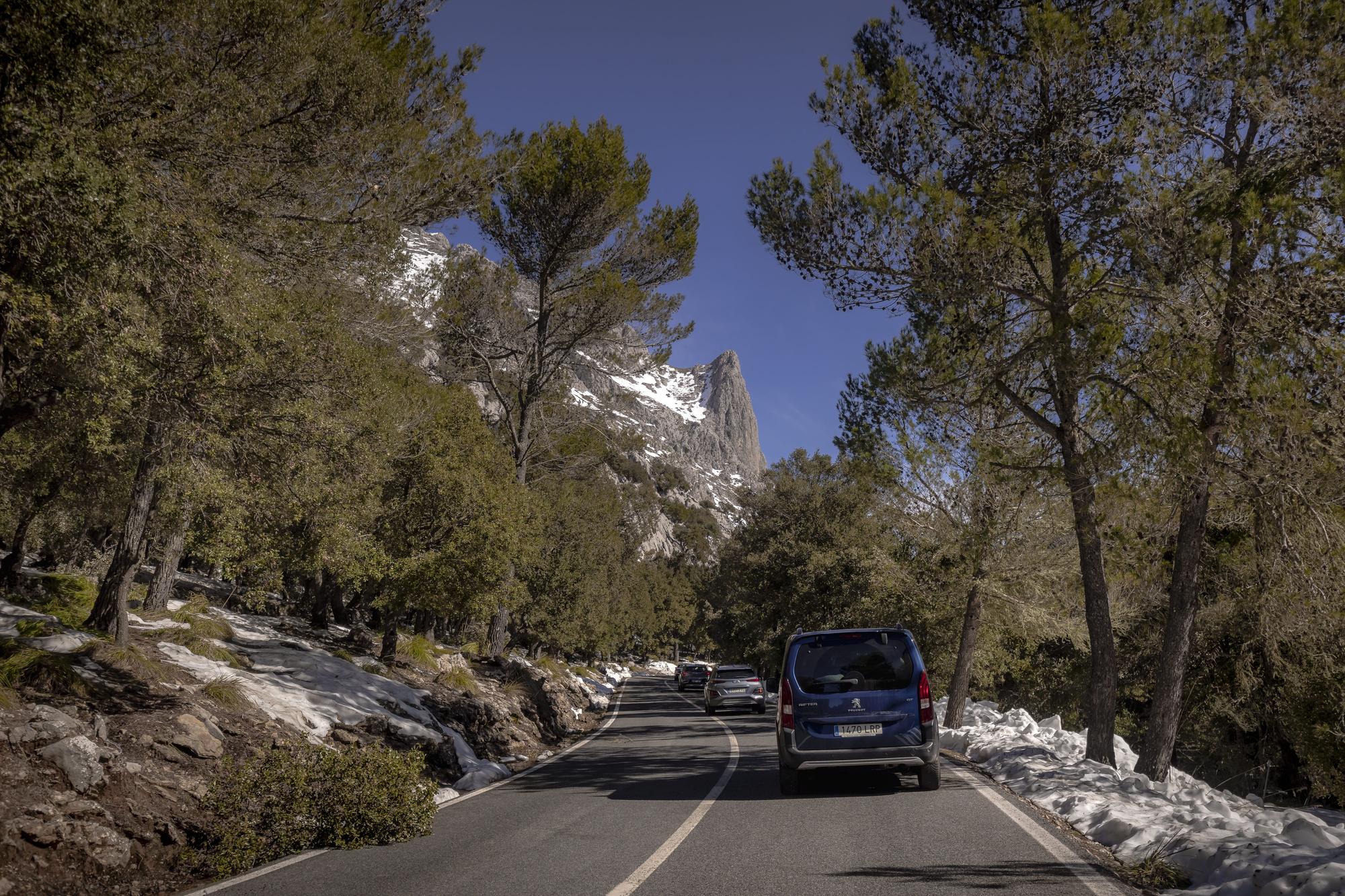 Borrasca Juliette en Mallorca | Caos y belleza en la Serra de Tramuntana