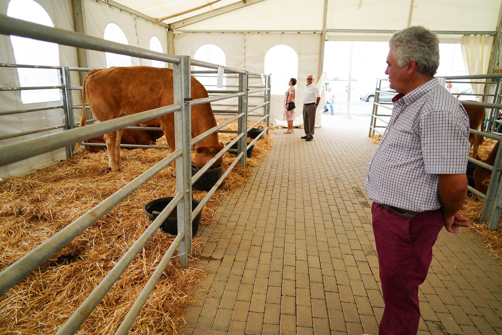 El sector agrícola y ganadero cordobés se da cita este fin de semana en Agrovap