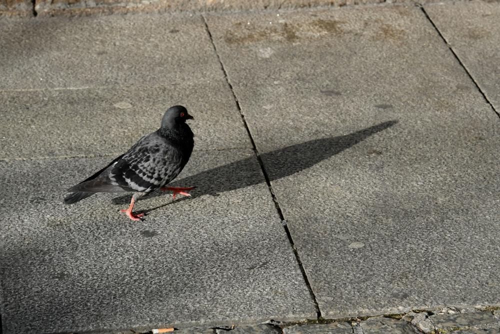 Las temperatuaras mínimas llegan a los 7º en A Coruña y los cielos permanecen despejados.