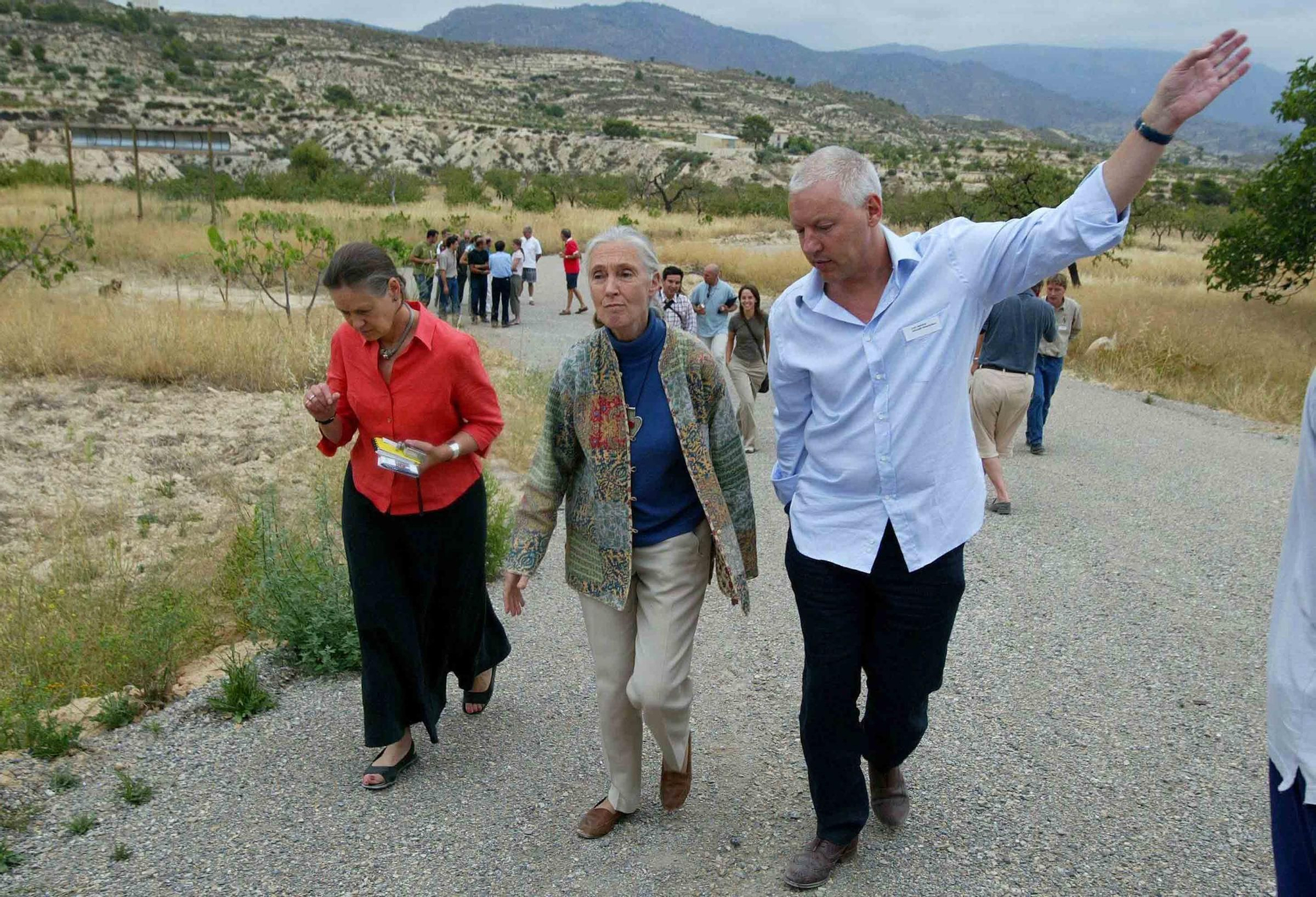 Fallece Jane Goodall, madrina de Primadomus y ‘honoris causa’ por la Universidad de Alicante