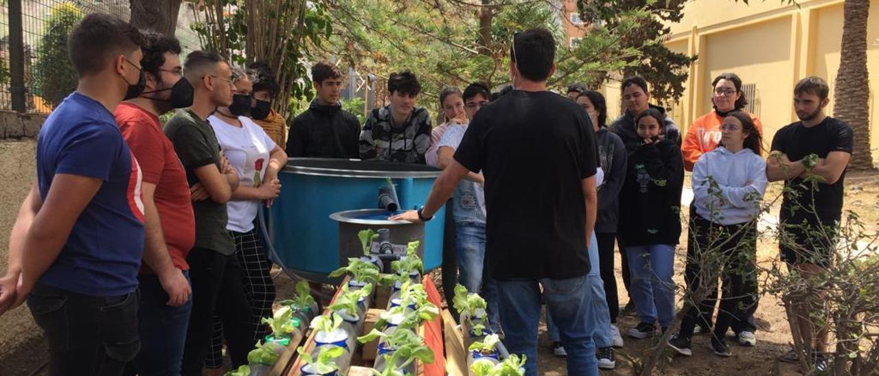 Alumnos del instituto de La Rocha aprendiendo sobre un sistema de acuaponía