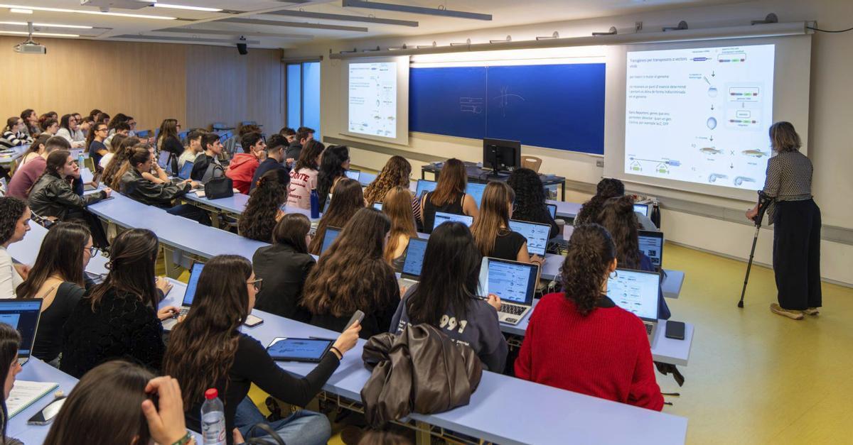 Salut i enginyeries lideren l’ocupació i el sou dels graduats universitaris