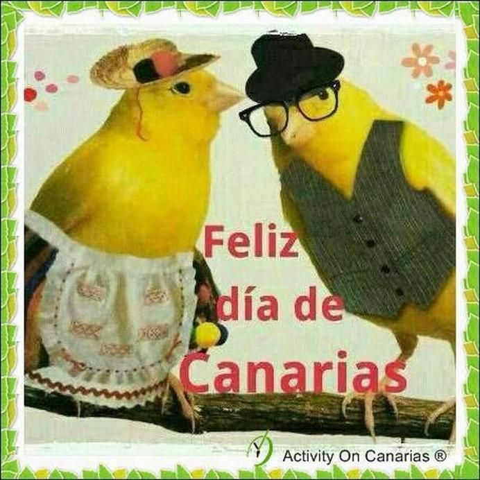 Los mejores memes del Día de Canarias 2017