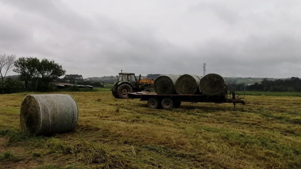 Archivo - Trabajos en el campo, rural, agricultur, PAC, tractor.