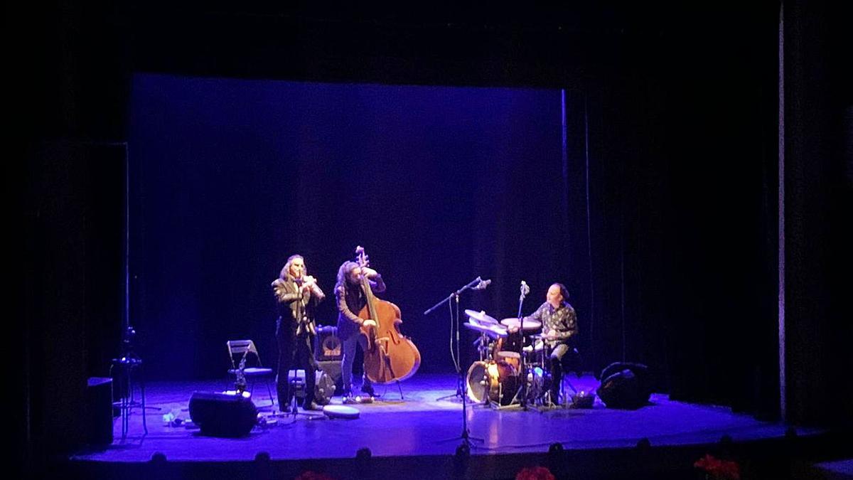 Un momento del concierto de Iberjazz en el Teatro Latorre de Toro. | A. D.