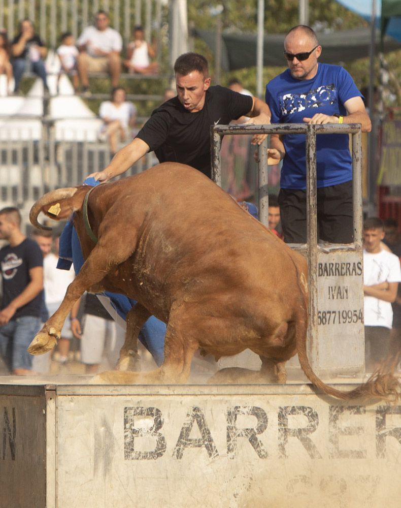 Actos taurinos en las fiestas de Sagunt.