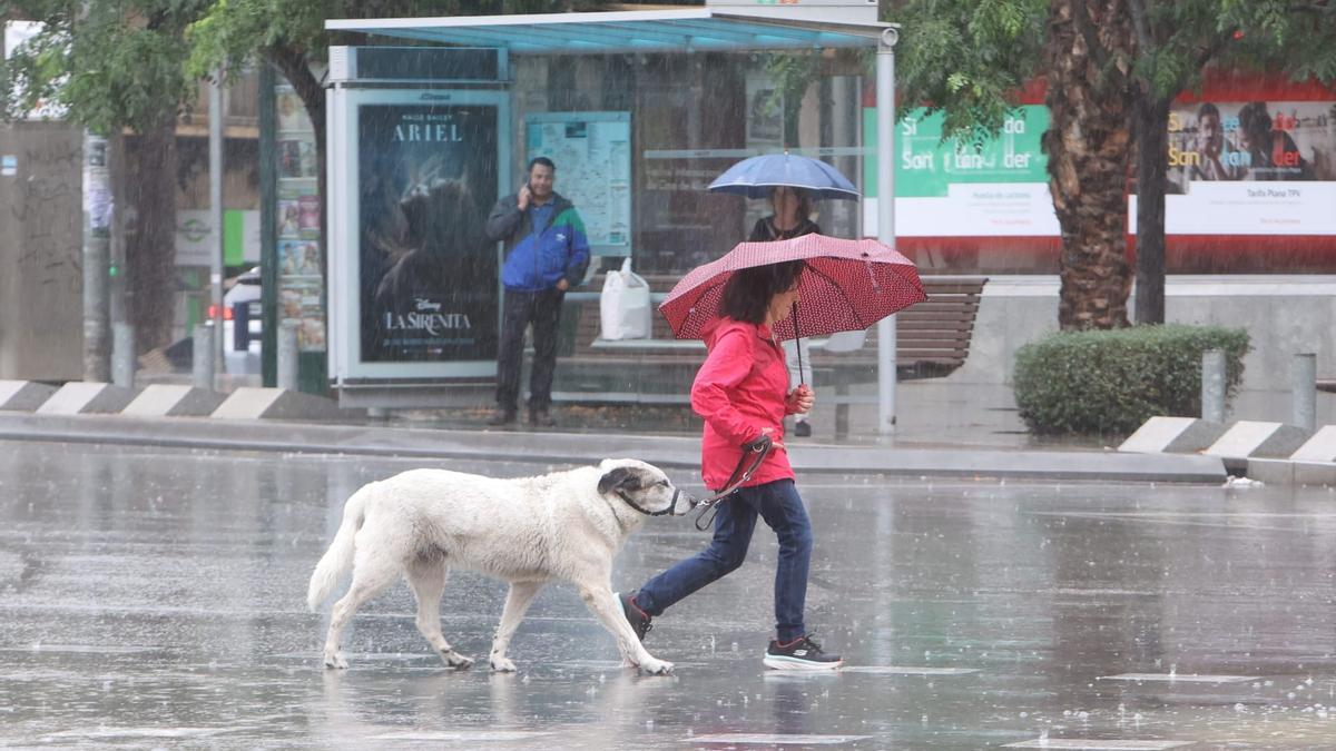 Una mujer pasea a su perro pese a las fuertes lluvias de este martes en Alicante.