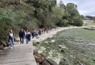 Tirán, a través de los ojos de Domingo Villar