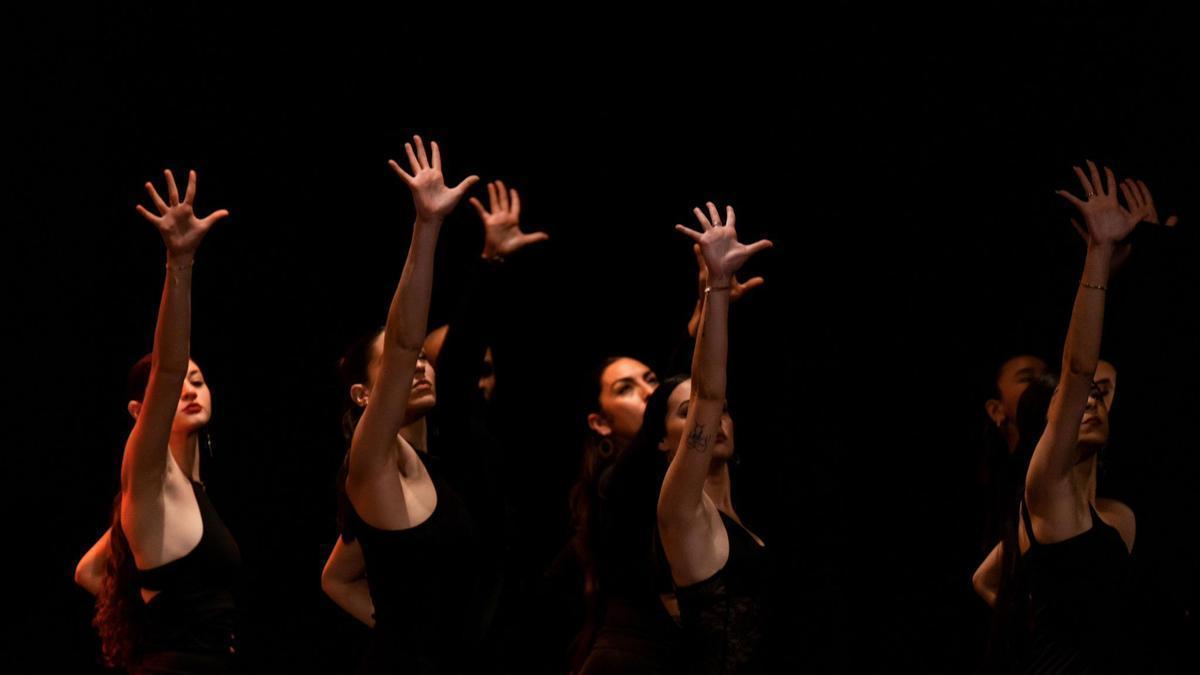 spectáculo de la escuela flamenca de Teresa Rojas