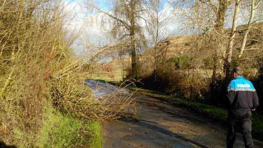 Carretera de Fuentelcarnero pendiente de su acondicionamiento.