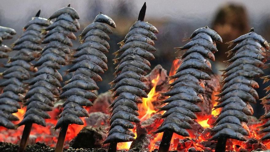 Mijas repartirá más de 600 kilos de sardinas gratuitas en la fiesta del 1 de mayo