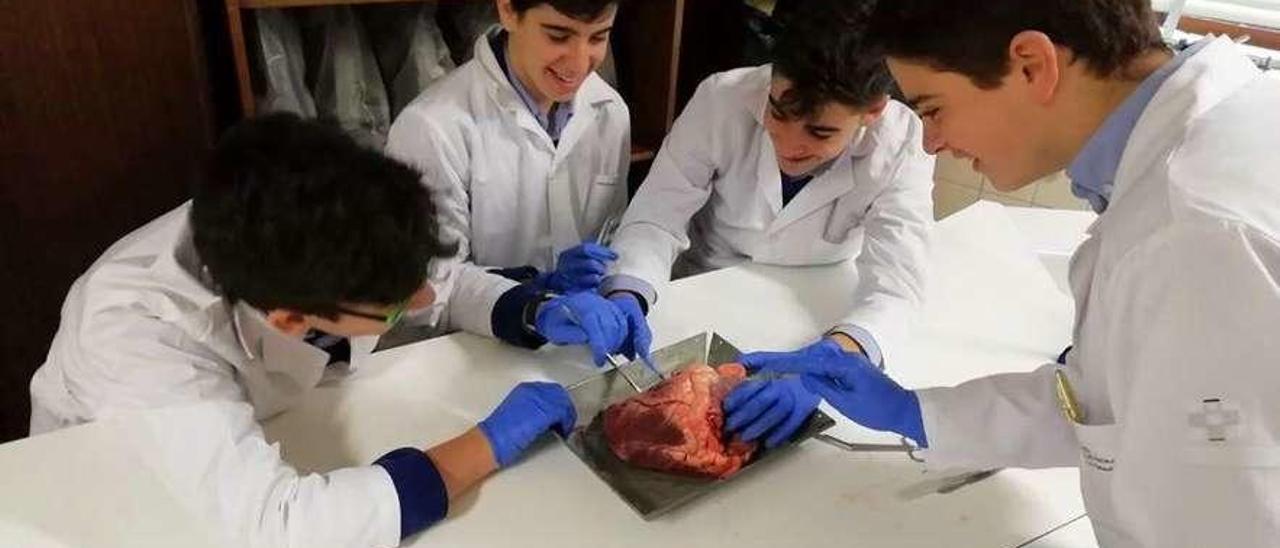 Estudiantes durante una práctica de laboratorio.