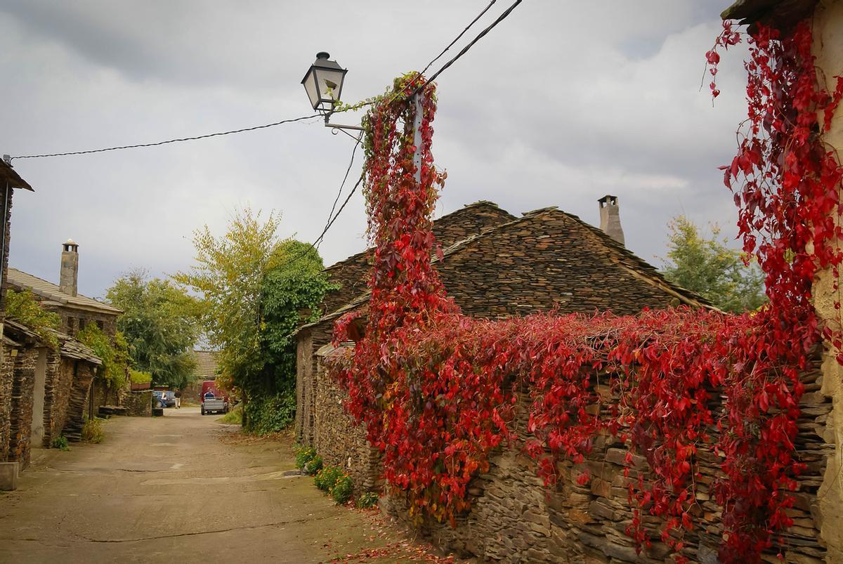 El bello colorido de Robleluengo