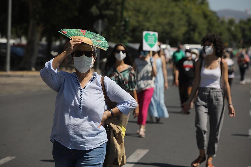 Marcha de la dignidad por la sanidad pública