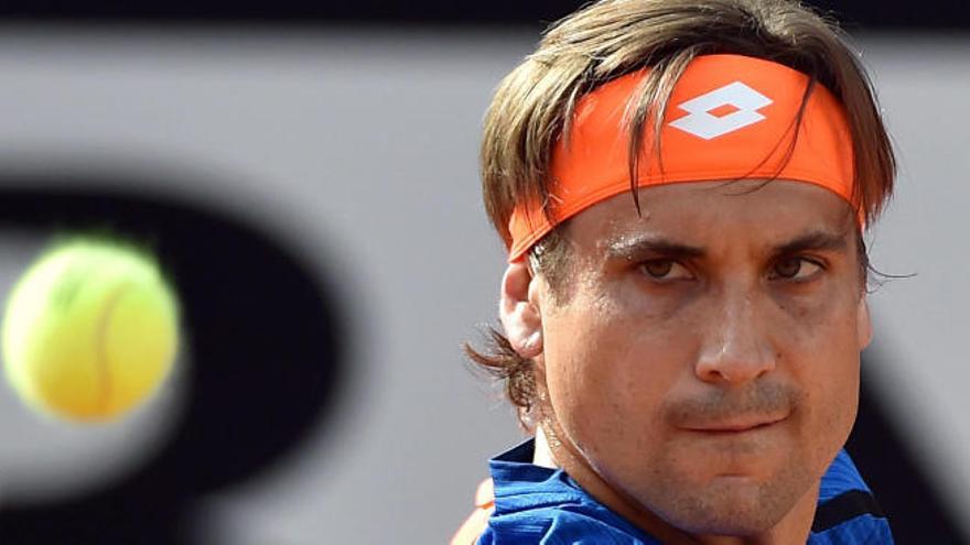 David Ferrer