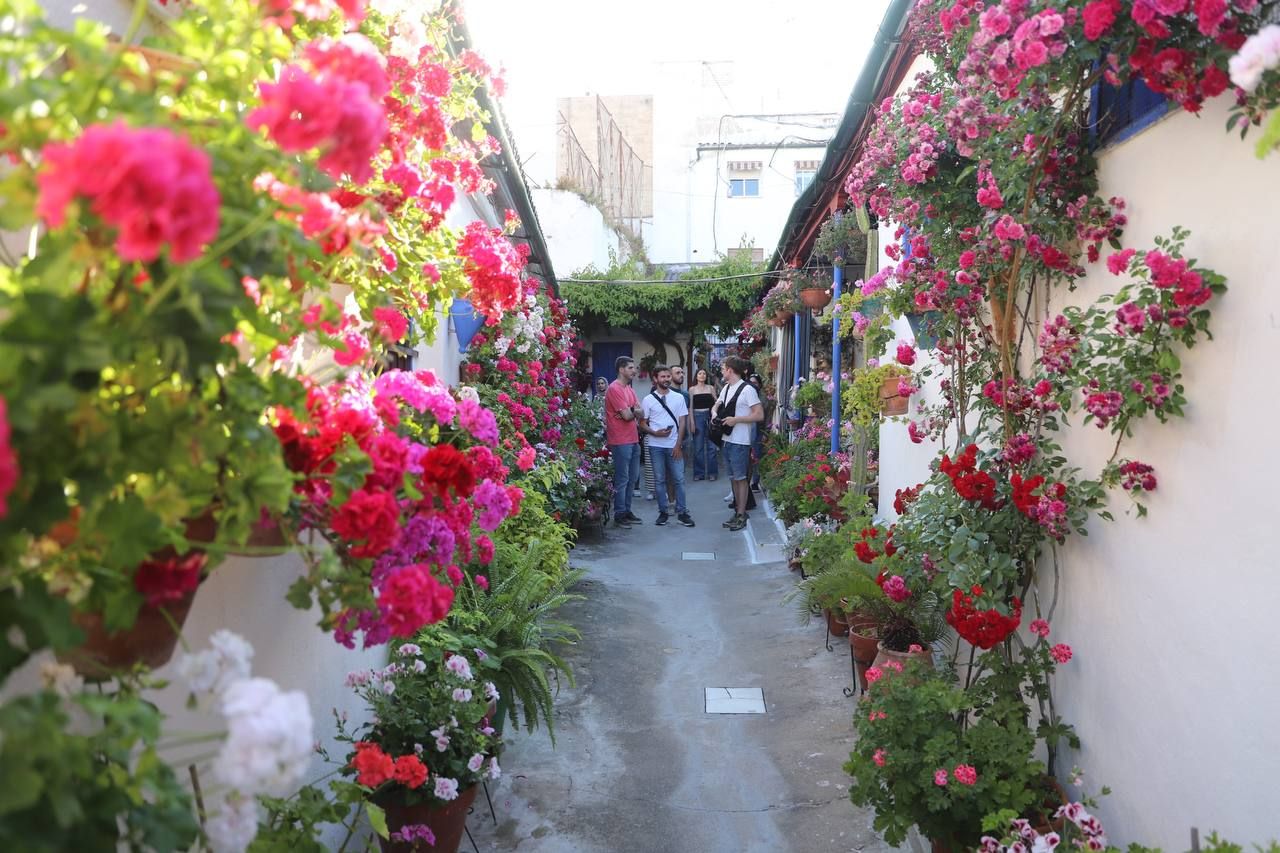 Los Patios galardonados