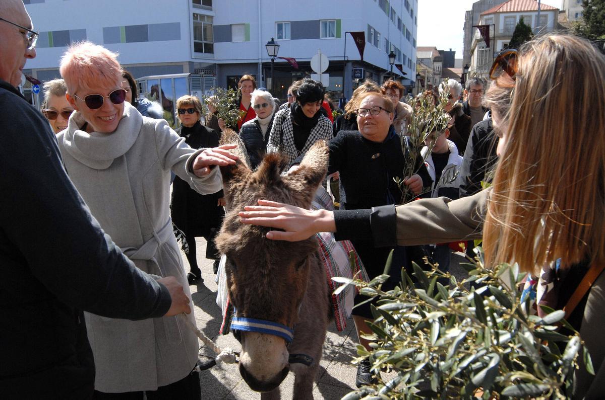 Como cada año, la borriquita despertó gran interés entre los feligreses de A Estrada