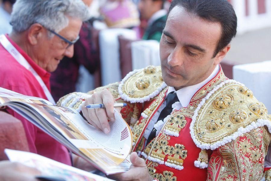 Toros en Zamora