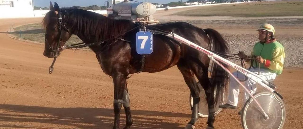 El campeón Trébol, con Pau Salord, en Ciutadella.