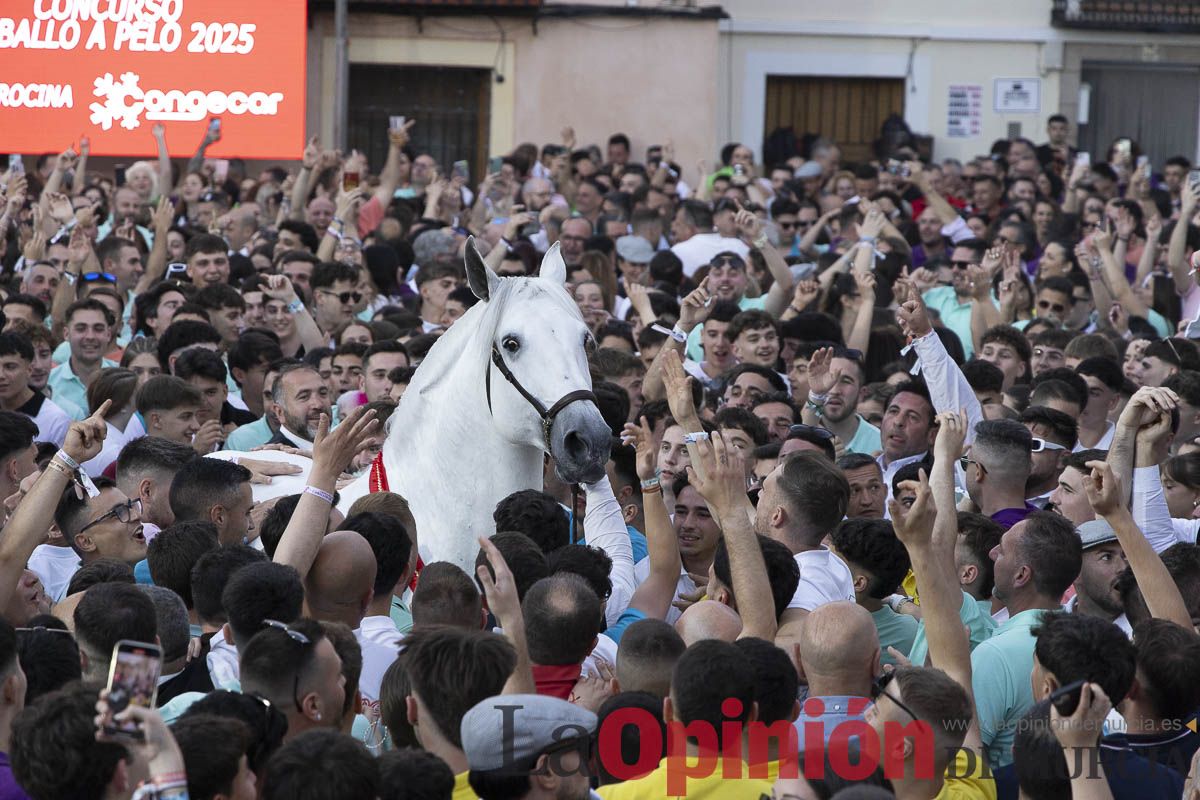 Fiestas de Caravaca | Entrega de premios del concurso morfológico