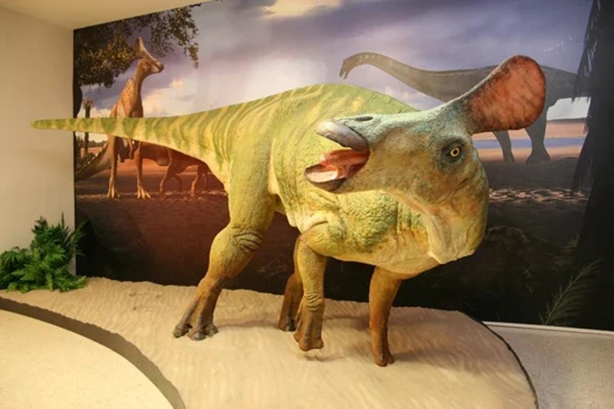 La reproducció d'un Pararhabdodon isonensis d'Isona