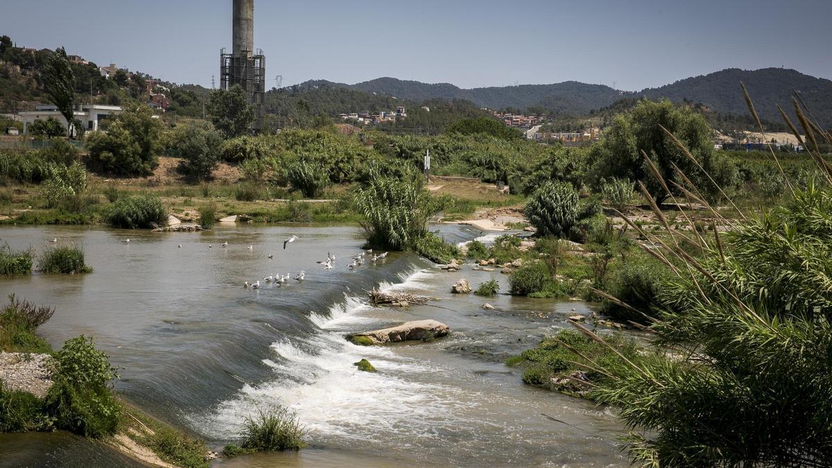 Una imagen del río Llobregat a su paso por el Parc Agrari del Baix Llobregat.