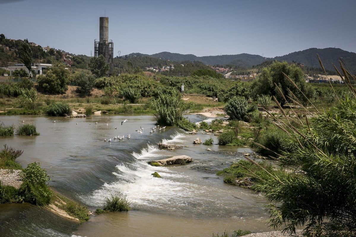 Una imagen del río Llobregat a su paso por el Parc Agrari del Baix Llobregat.