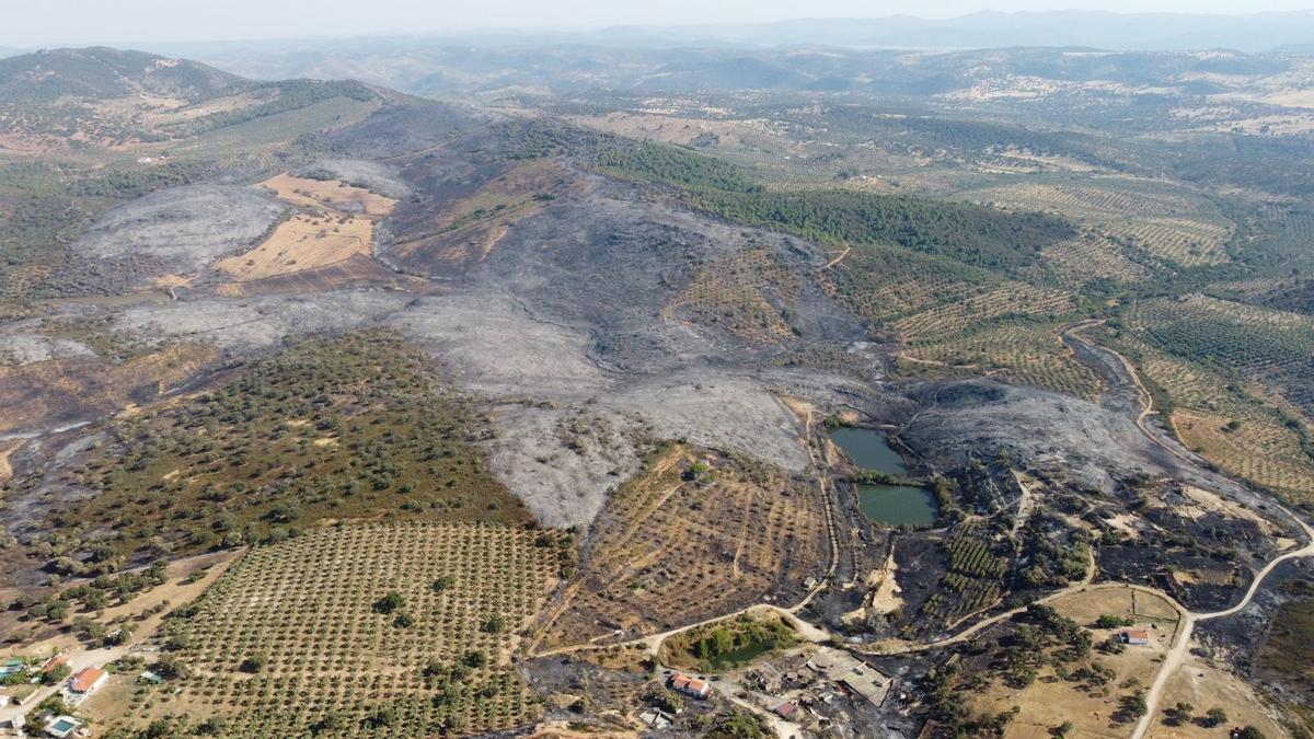 Vista aérea delincendio forestal en el término de Alcaracejos.