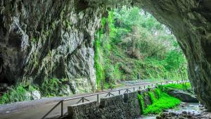 Cuenta con una cantidad desmesurada de flora y fauna: sus paisajes no te dejarán indiferente