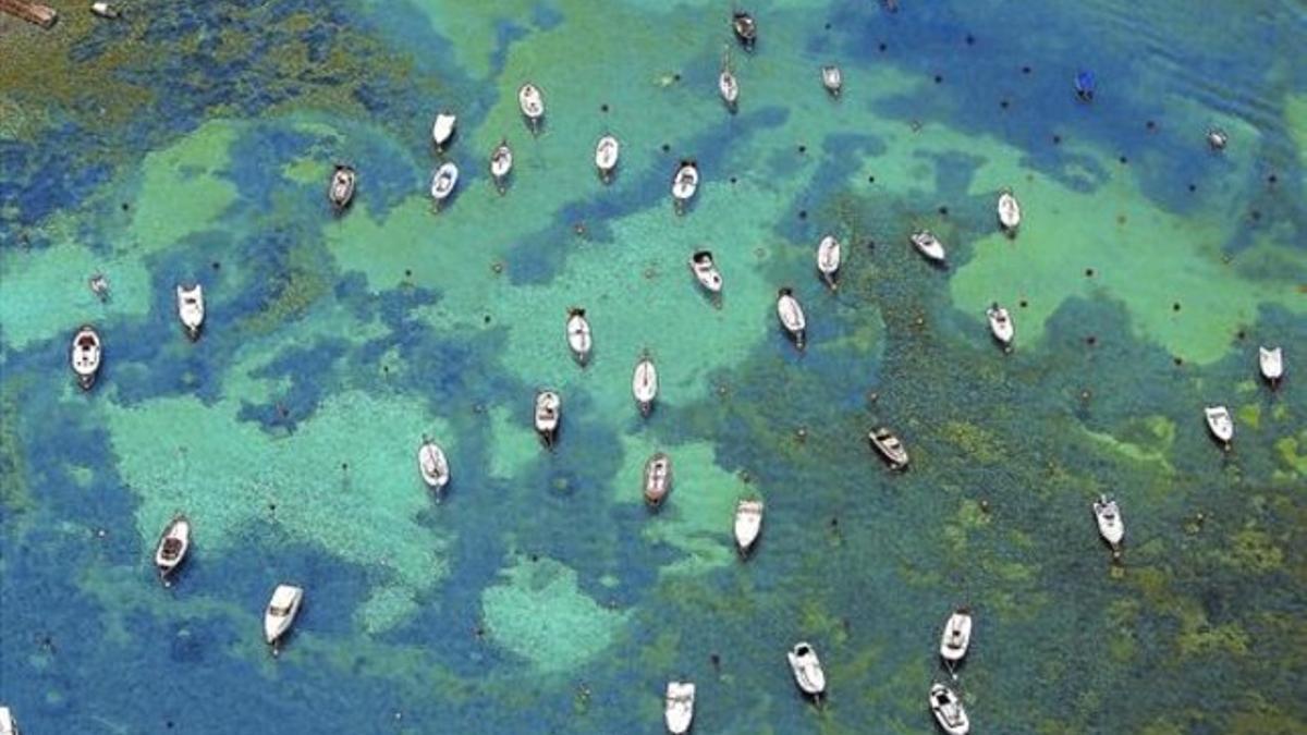 Embarcaciones de recreo fondeadas en la bahía de Cadaqués.