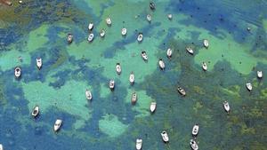 Embarcacions recreatives fondejades a la badia de Cadaqués.