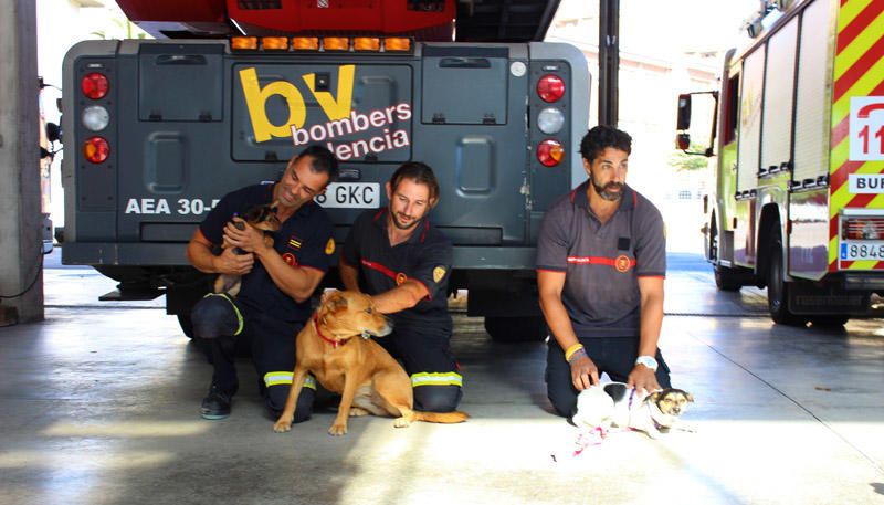 Los Bomberos de Valencia, con la adopción de mascotas